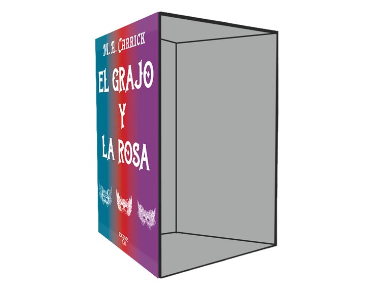Diseño de caja provisional