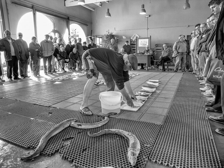 Febrer 2008. Subhasta del peix a la llotja vella del carrer Eduard Maristany. Aquesta imatge no va entrar a la selecció final.