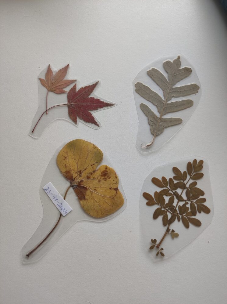 Marcapáginas de hojas prensadas