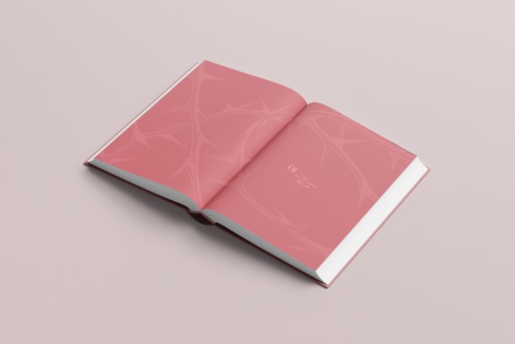 Primera parte del libro "La primera herida"