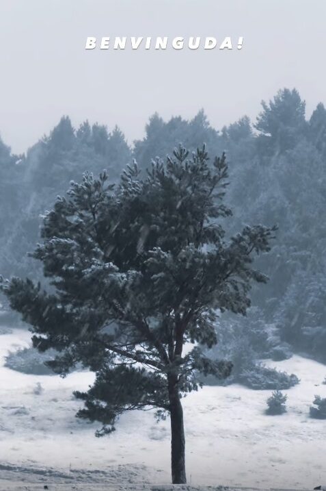 Fotograma de Marc Santaeulària (dronista de Flor del cel)