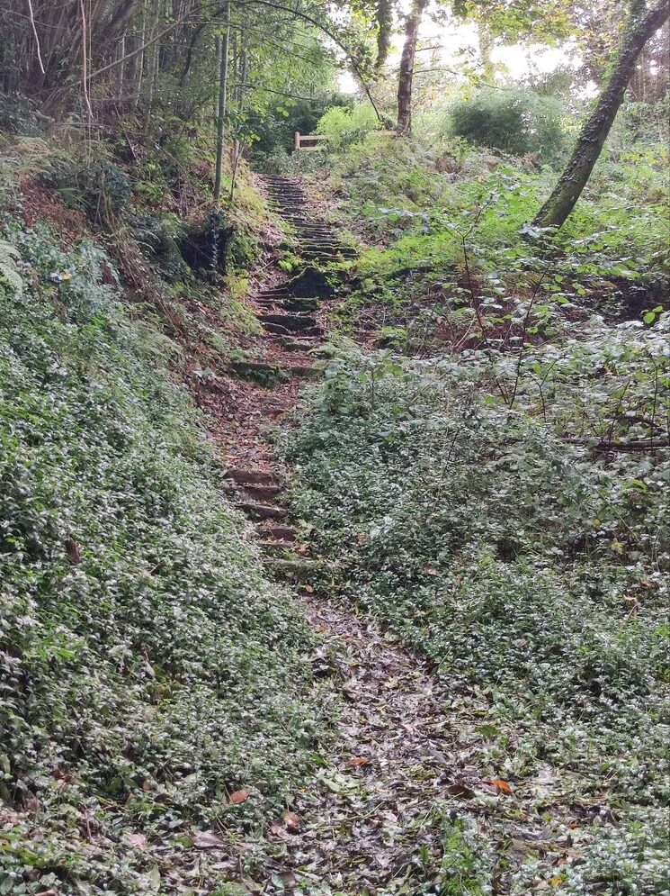 Escaleras de piedra con "maleza"