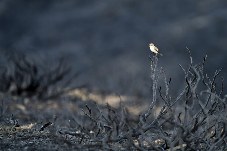 La vida sigue, pero a duras penas. Foto: Diego de la Calle.