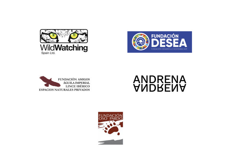 Una agencia de viajes, cuatro fundaciones, un proyecto común