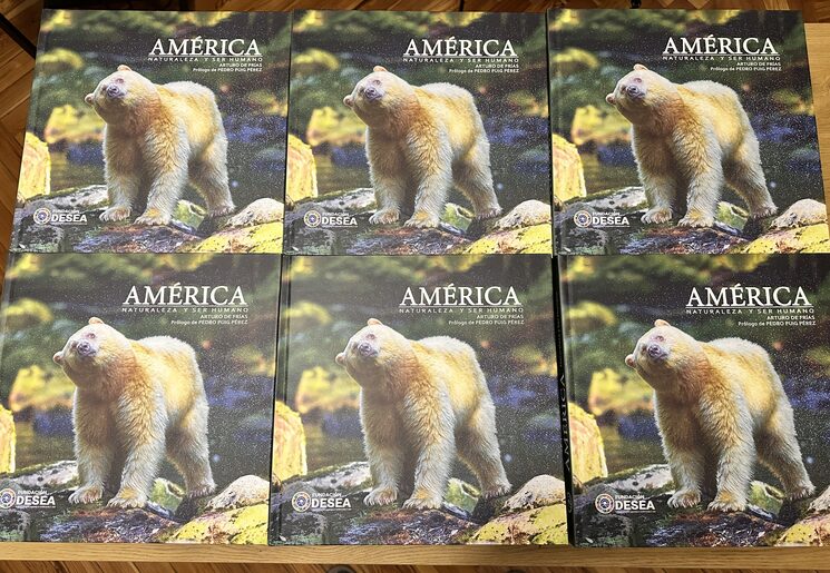 400 libros de AMÉRICA están ya en casa =)