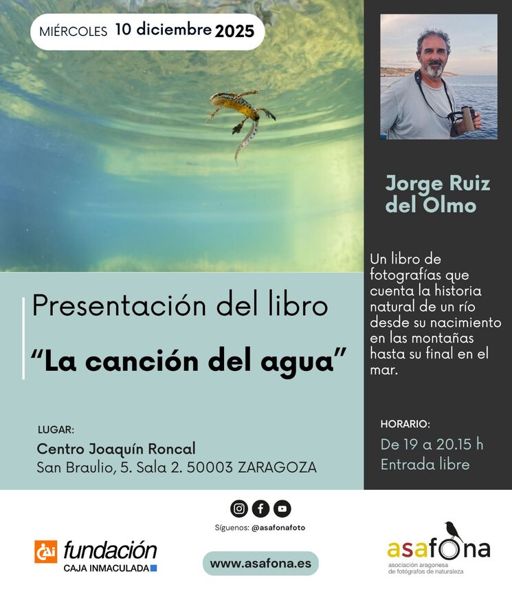 presentación Zaragoza