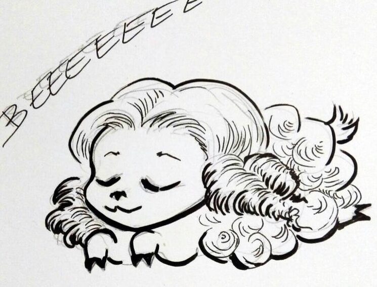 No pongais triste a la ovejita Mary Lou! (Arte by Barbara Raya)