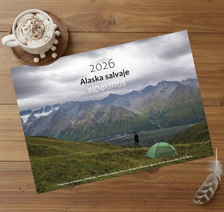 Calendario "Alaska Salvaje"