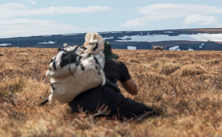 Tato fotografiando un caribú