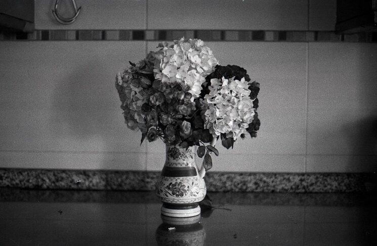 Foto Fran Rodriguez Casal