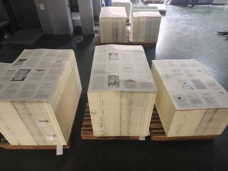 Lobo solitario: la impresión.