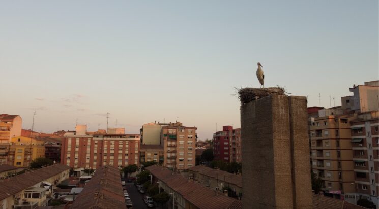 Captura de dron de la Plaça dels pagesos