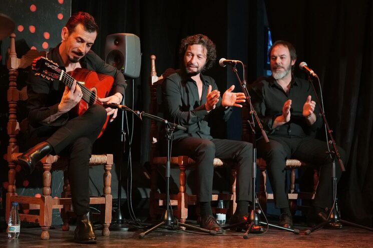 Festival De Jerez. Miguel Lavi y David el Galli