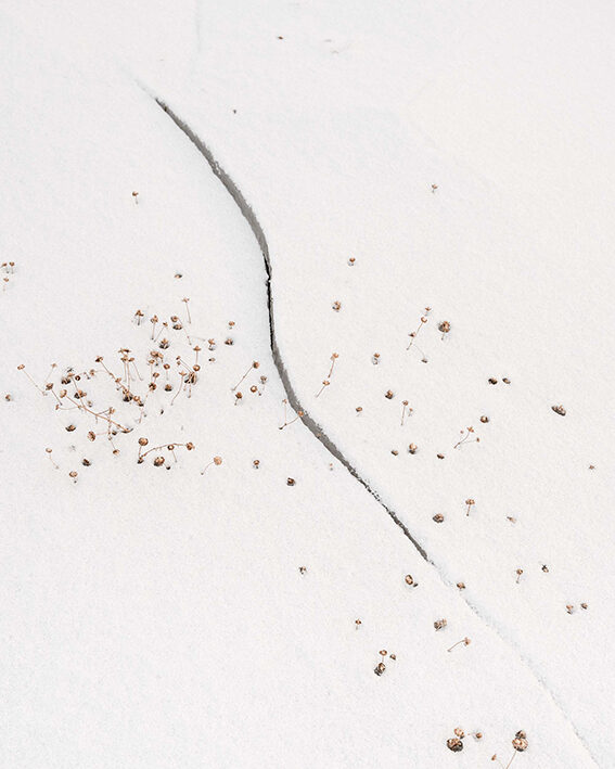 Presentaciones del Foto libro en Madrid