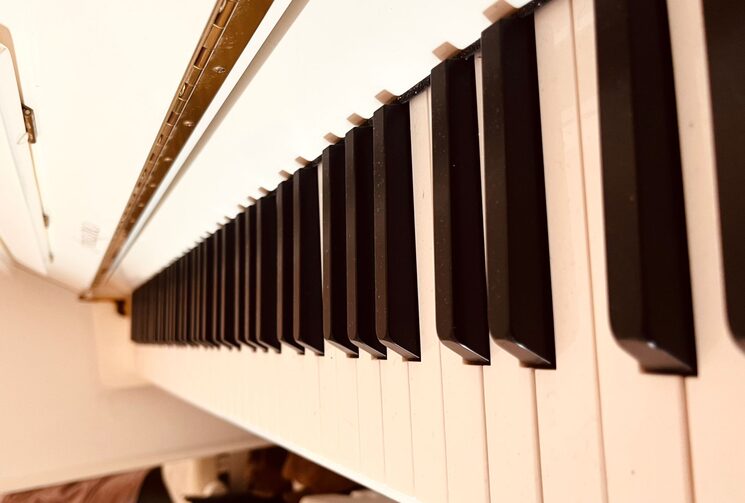 Aquest és el moment abans de fer-ho realitat