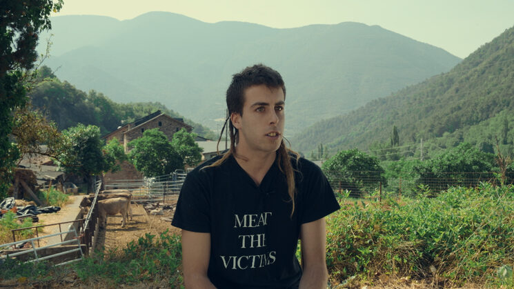 Nando, casa forestal