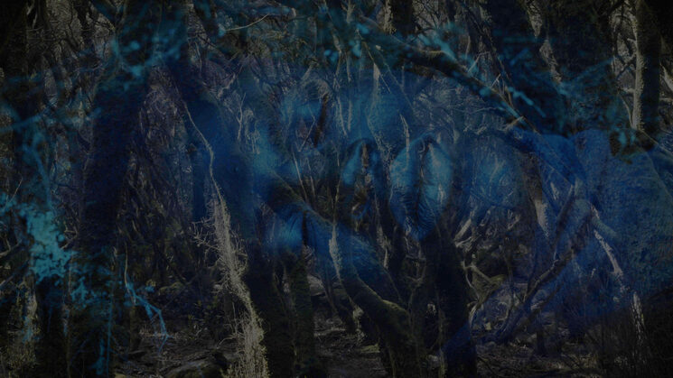 GRACIAS / CAMBIO DE OBJETIVO 