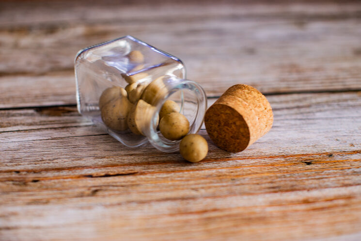 Pack Huevos de Dragón