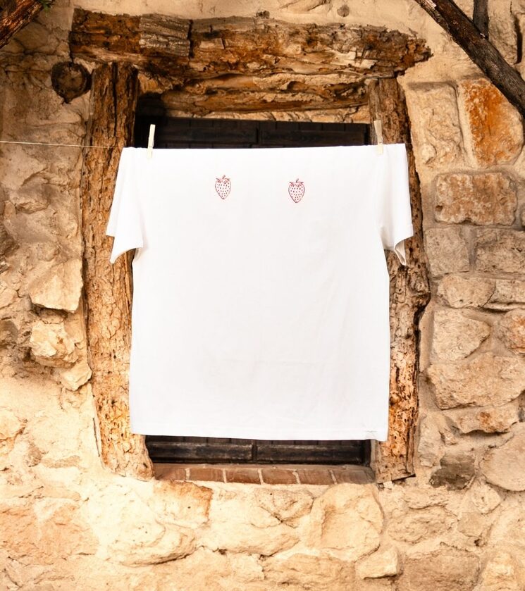 Camiseta Bésame las tetas. Parte delantera. Deseptimo