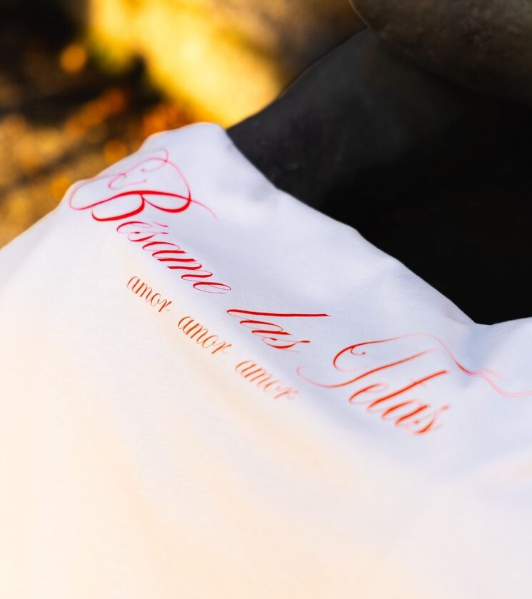 Camiseta Bésame las tetas. Parte trasera. Deseptimo