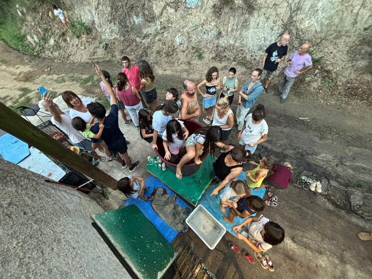 Vendimiando en comunidad 2025