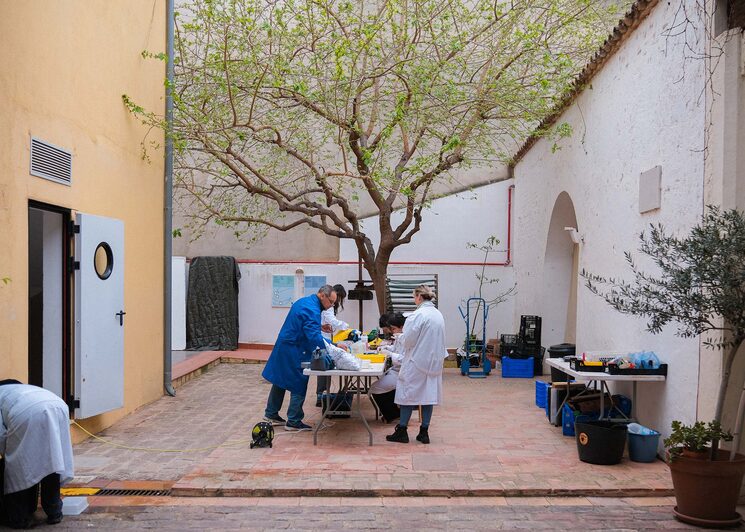Voluntarios trabajando en el laboratorio del Museu Comarcal de l