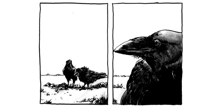 Los cuervos, una vez más, serán espectadores privilegiados de los trágicos acontecimientos que se avecinan