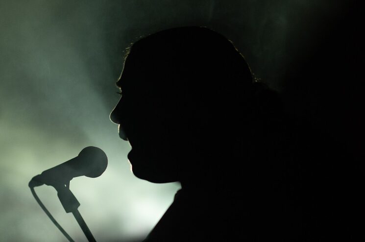 Flamenco puro en tu casa