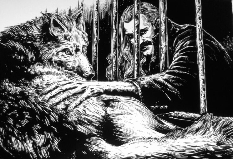 ACTUALIZACIÓN MARZO: Volviendo de Transilvania.