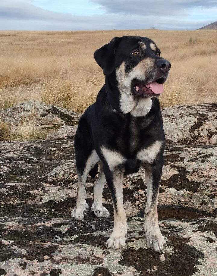 Esta es Monka posando.