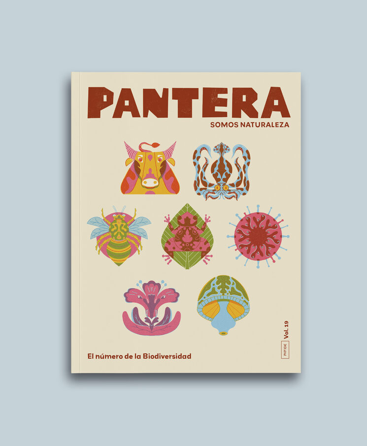 SUSCRIPCIÓN PANTERA 2026