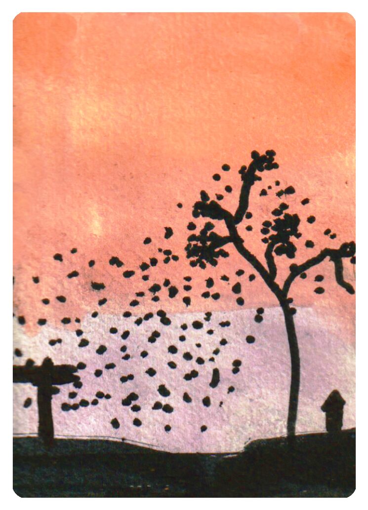 Trasera de Toubama no Hoshi