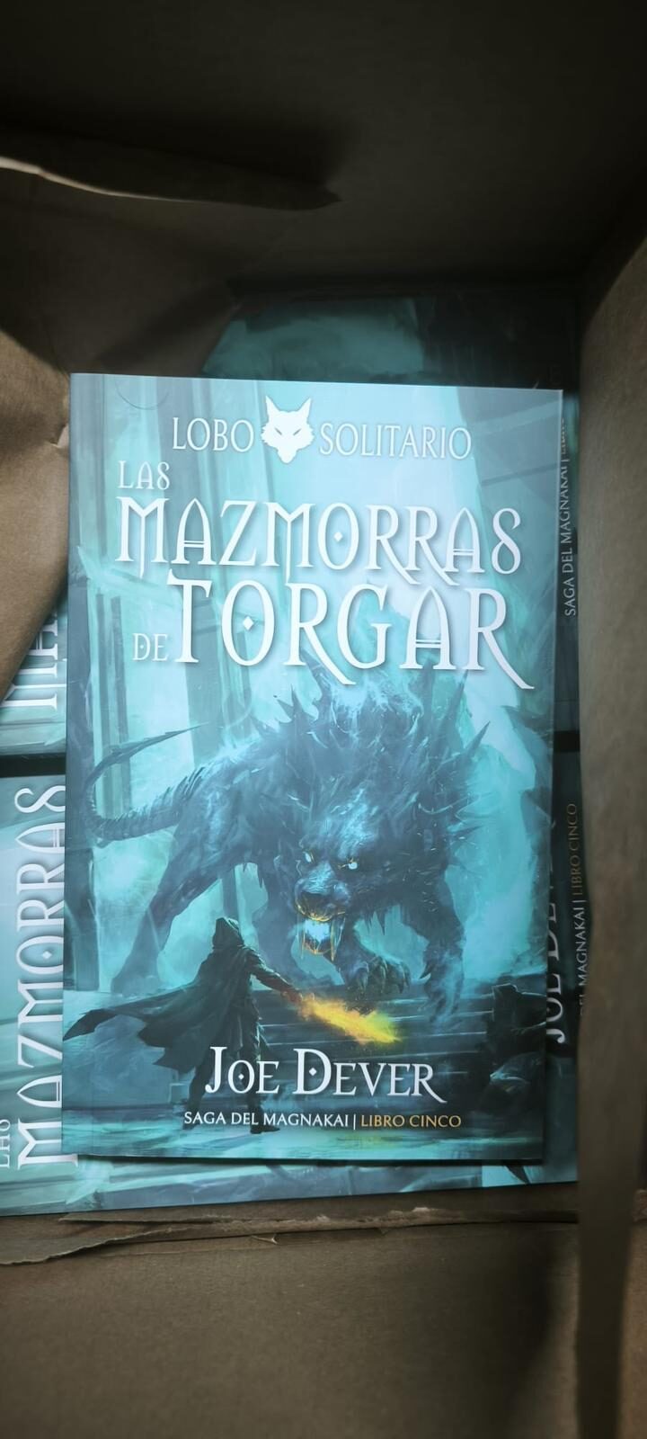 LIBROJUEGAZOS!