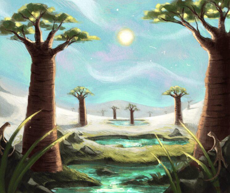 El Desierto Blanco de Baobabs