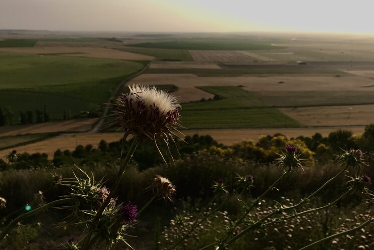 Vistas desde Urueña de Tierra de Campos