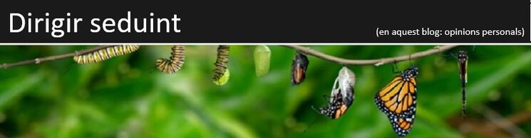 Blog de Dirigir Seduint