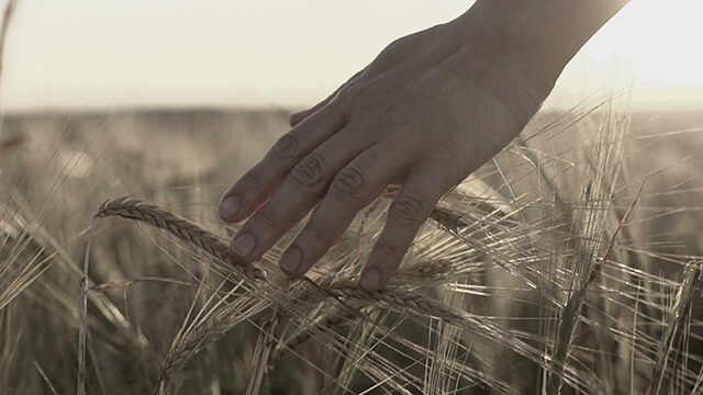 Fotograma del cortometraje "El sabor de la mandarina"