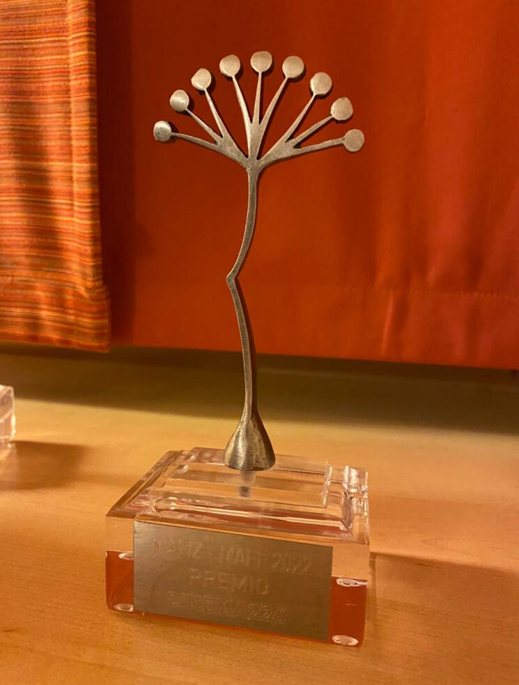 Premio Cinema Mafiz 2022 al proyecto Mar Rojo - Festival de Málaga