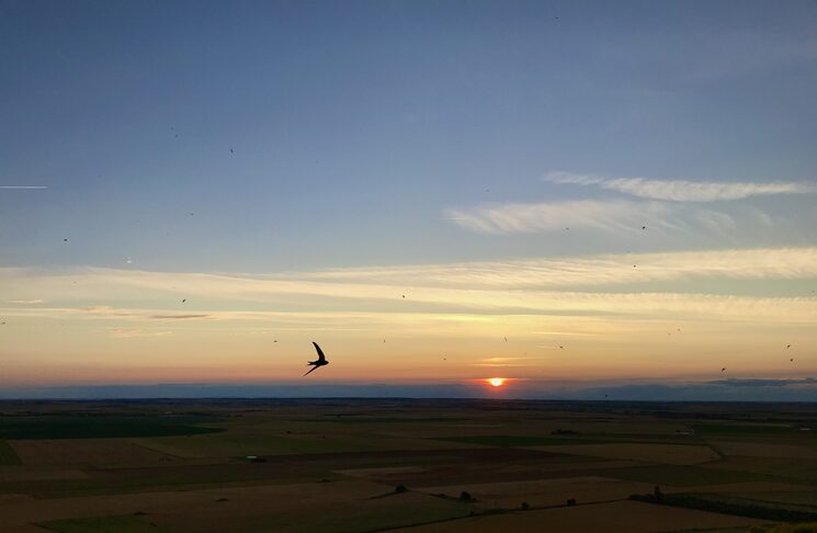 Atardecer en Urueña (Valladolid). Foto de Juli Suàrez