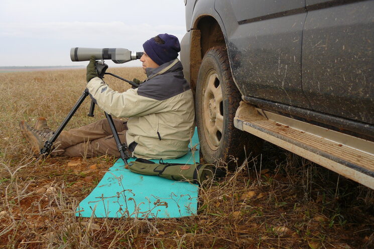LMB durante una espera lobera en la meseta norte (foto: Javier Talegón)