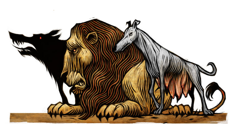 Canouro. Ilustración de Tomás Hijo.