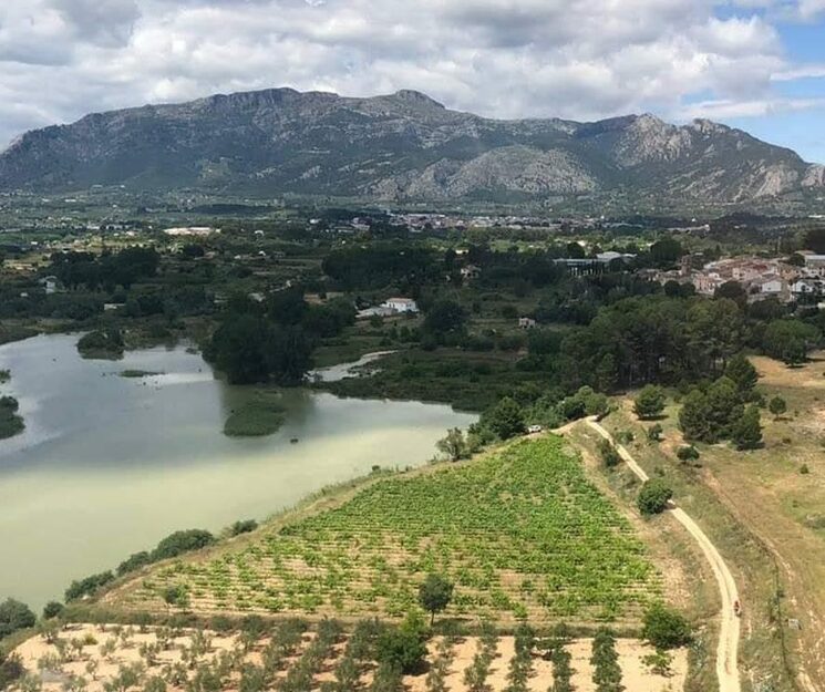 MICROVINYA en ALCOSSER juto rio Serpis, Mariola al fondo