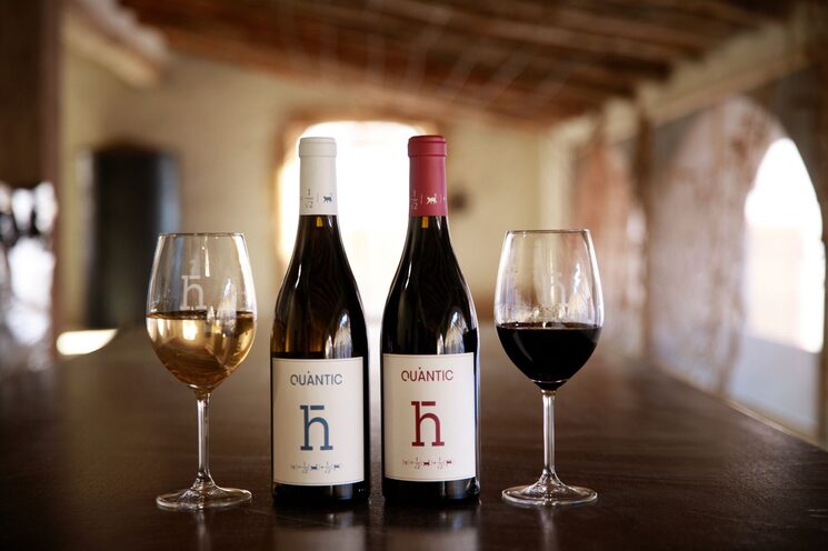 Vinos Quàntic Negre y Quàntic Blanc