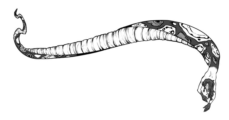Actualización del proyecto 🐍