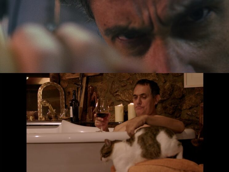 Matar al gato