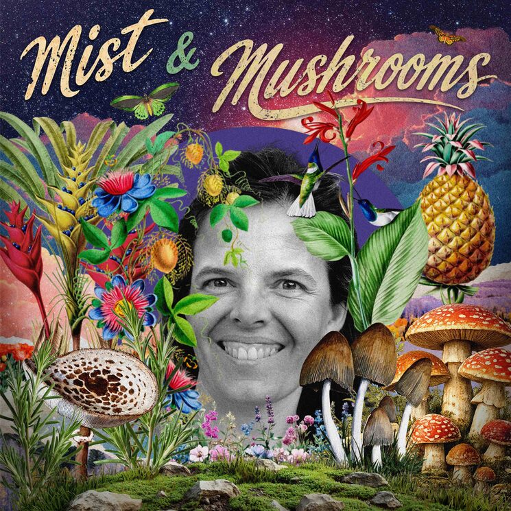 Mist & Mushrooms