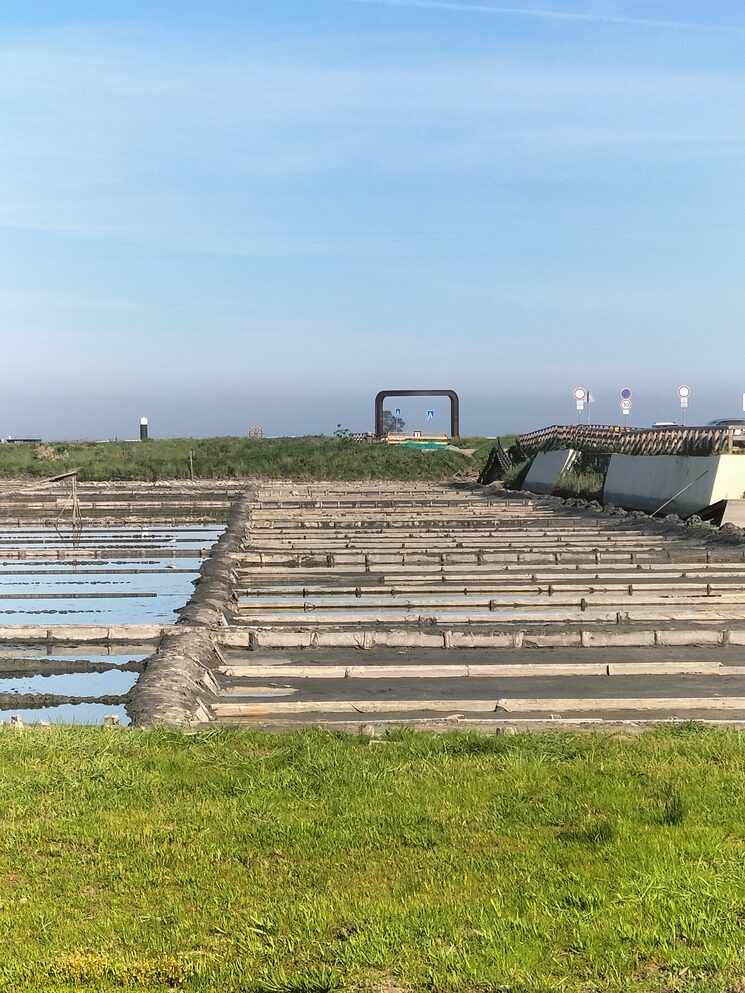 EL IMPACTO MEDIBLE DETRÁS DE CADA GRANO DE SALÁA