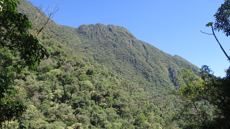 Fortaleza de Wayba Pucara, lugar del ultimo combate de las tropas del Inca Tupac Amaru