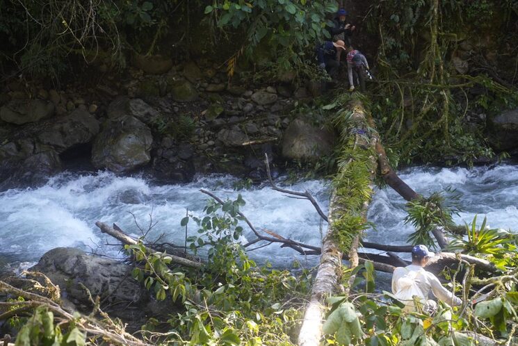 Puente precario sobre el río Pampaconas