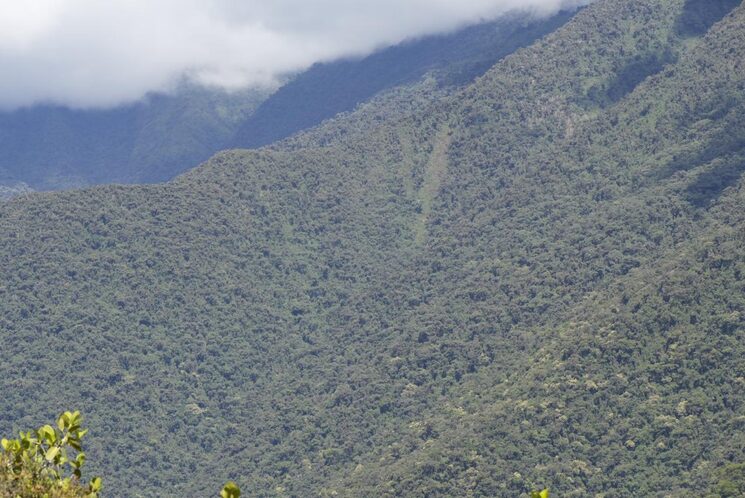 Bajo la vegetación, Hatun Vilcabamba